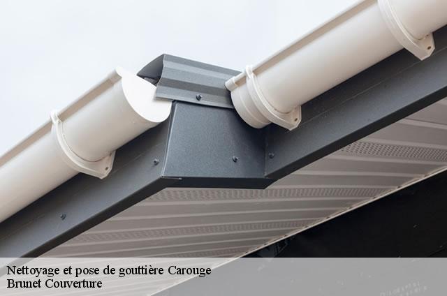 Nettoyage et pose de gouttière  carouge-1227 Brunet Couverture