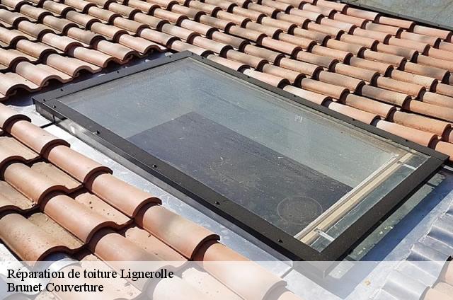 Réparation de toiture  lignerolle-1357 Brunet Couverture